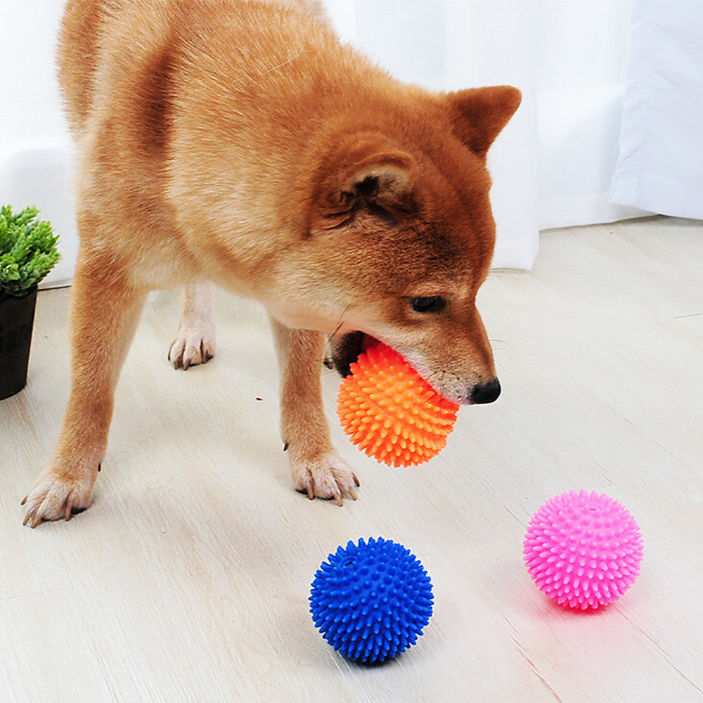interactive Vinyl Ball (training toy)