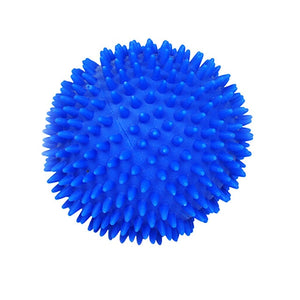 interactive Vinyl Ball (training toy)