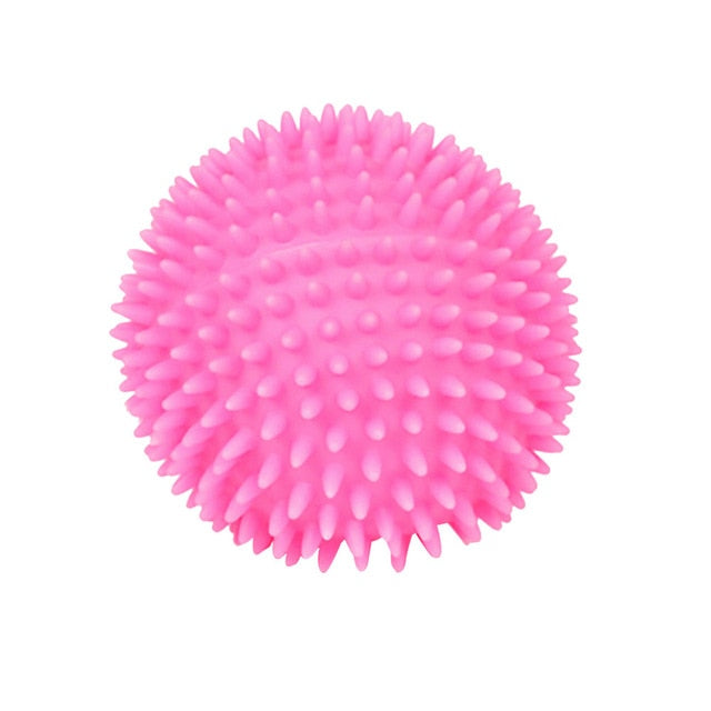 interactive Vinyl Ball (training toy)