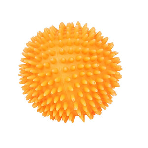interactive Vinyl Ball (training toy)