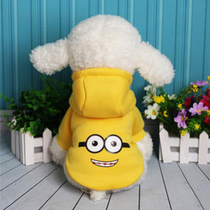 Bichon Hooded sweater