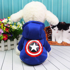 Bichon Hooded sweater