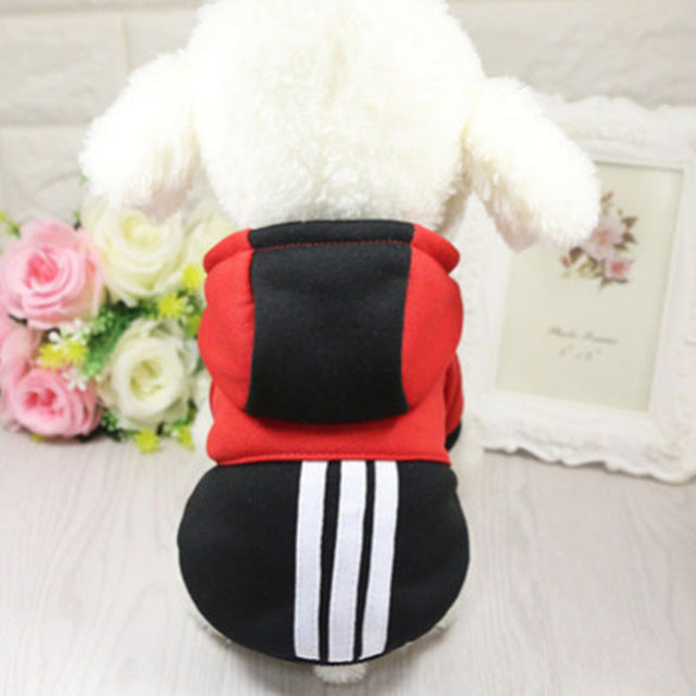 Bichon Hooded sweater