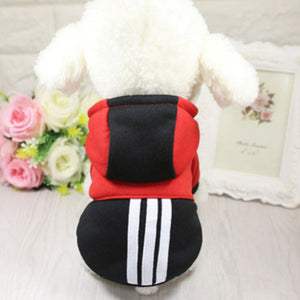 Bichon Hooded sweater