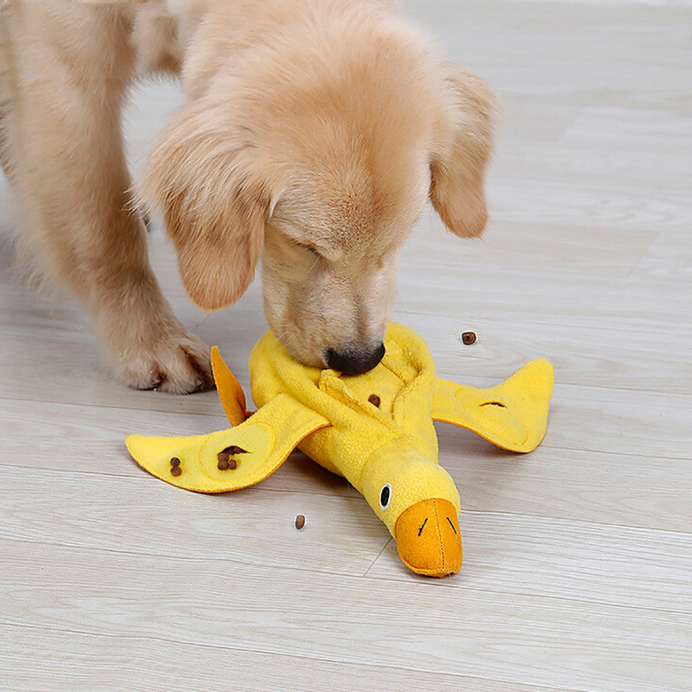 Training Snuffle Dog Toys